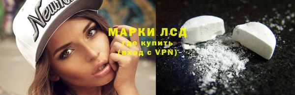 шишки Анива