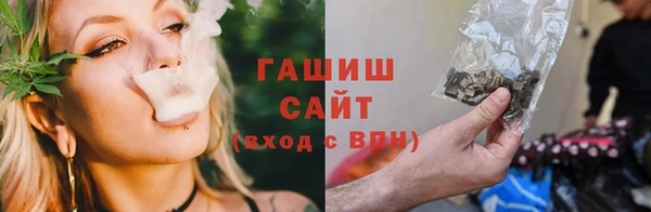 индика Нефтегорск