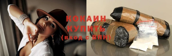 индика Нефтекумск