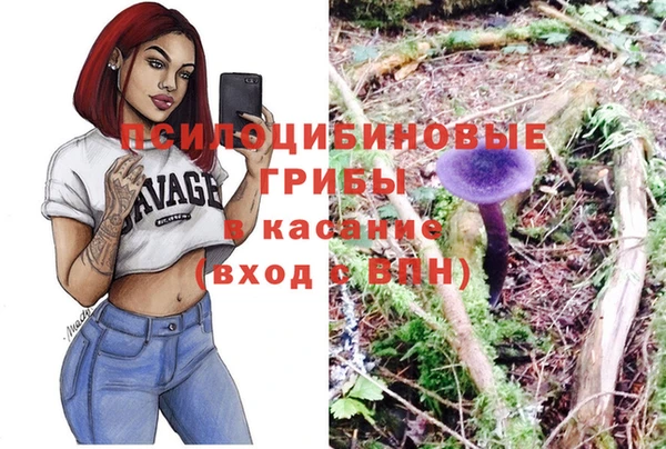 индика Нефтекумск