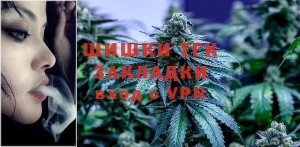 индика Нефтекумск