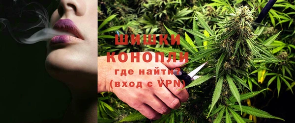 индика Нефтегорск