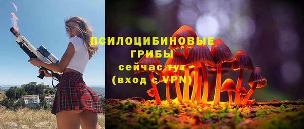индика Нефтекумск