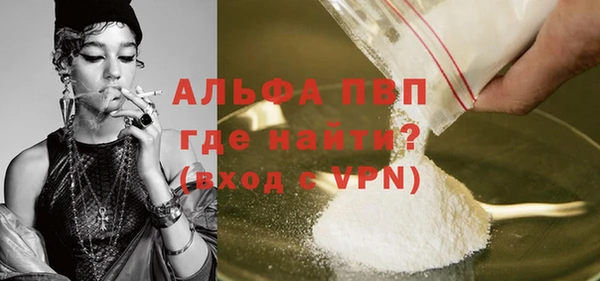 индика Нефтегорск
