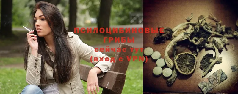 наркота  Инсар  Галлюциногенные грибы Psilocybe 