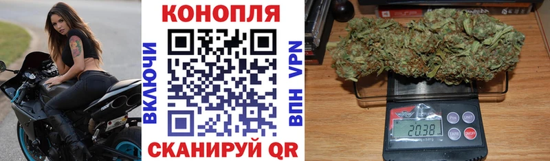 Бошки Шишки ГИДРОПОН  купить закладку  Инсар 